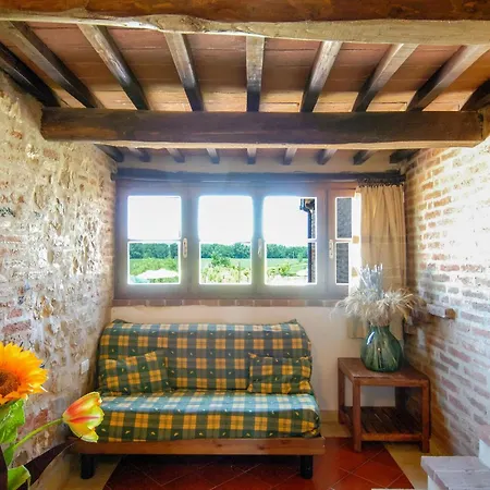 Airone E Cormorano *