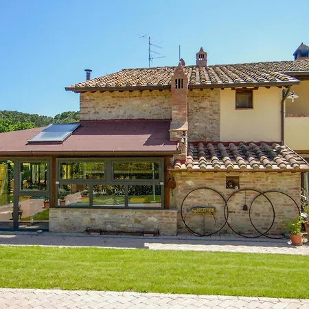 Airone E Cormorano *