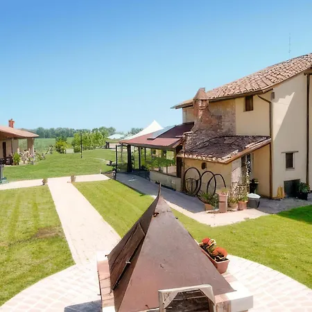 Airone E Cormorano *