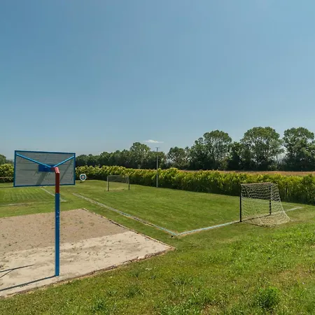 Airone E Cormorano Castiglione del Lago