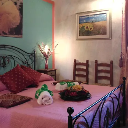 Airone E Cormorano *