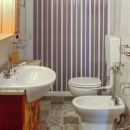 Airone E Cormorano *