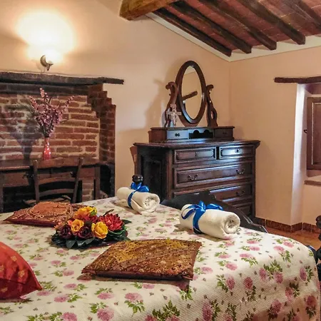 Airone E Cormorano *