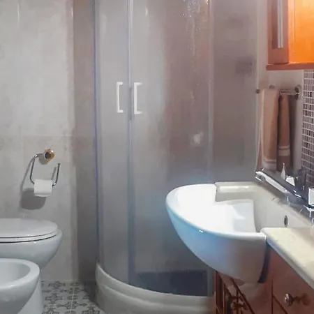 Airone E Cormorano *