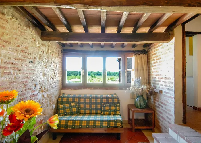 Airone E Cormorano *