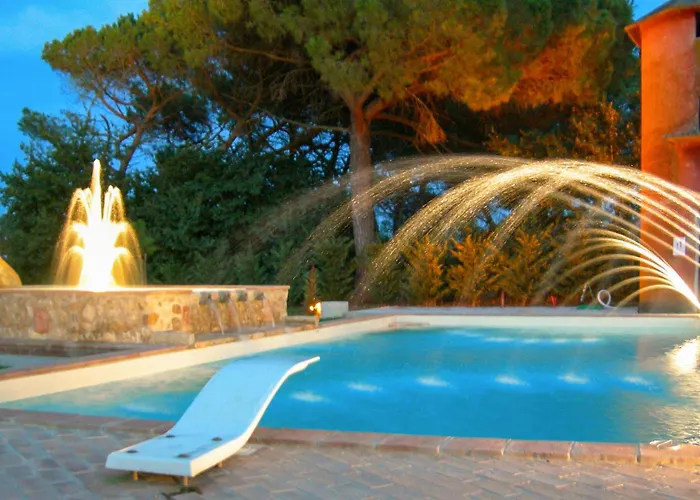 Airone E Cormorano *