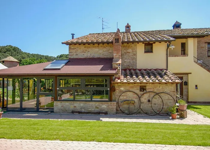 Airone E Cormorano *