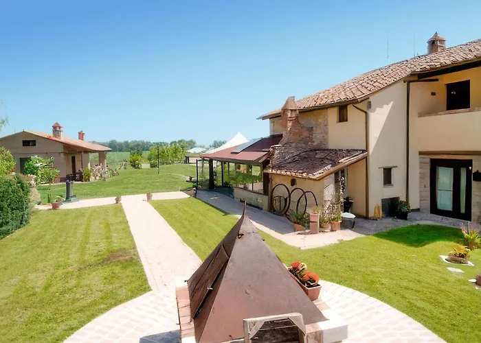 Airone E Cormorano *