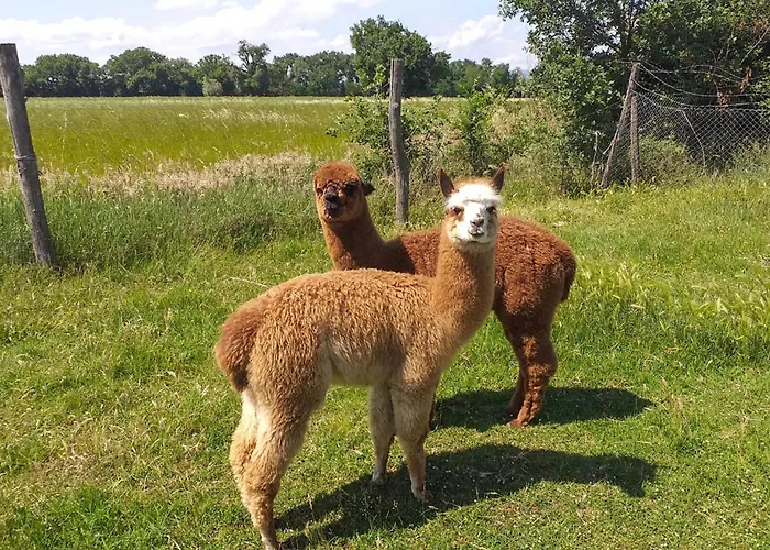 Airone E Cormorano Apartmán