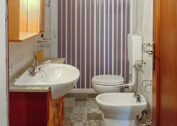 Airone E Cormorano *