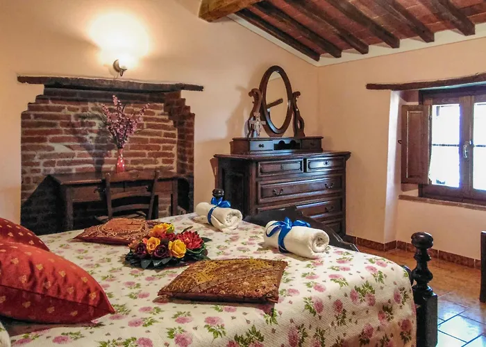 Airone E Cormorano *