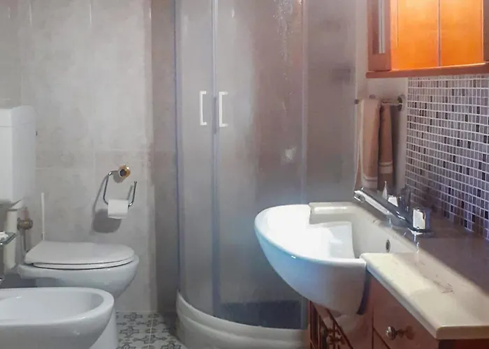 Airone E Cormorano *